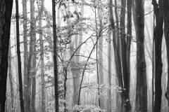 Landscape_Nature0002