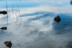 Landscape_Nature0006