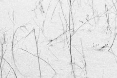Landscape_Nature0007
