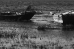 Landscape_Nature0009