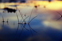 Landscape_Nature0013