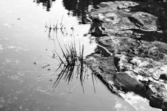 High contrast B&W photograph at Lake Huron, Ontario Canada