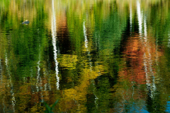 Landscape_Nature0026