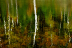 Landscape_Nature0027
