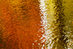 Landscape_Nature0033