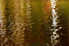 Landscape_Nature0034
