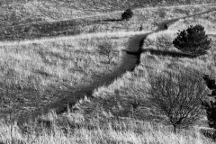 Landscape_Nature0036
