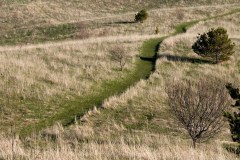 Landscape_Nature0037