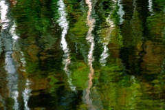 Landscape_Nature0043