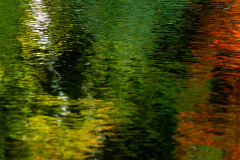 Landscape_Nature0044