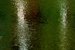 Landscape_Nature0045