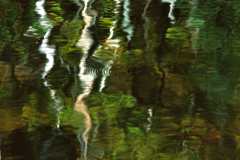 Landscape_Nature0046