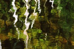 Landscape_Nature0047