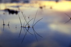 Landscape_Nature0049
