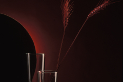 product photography